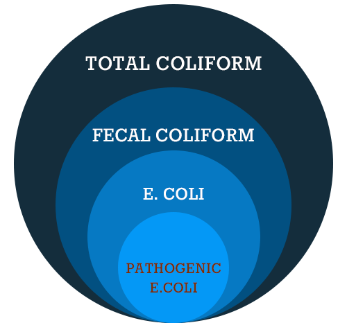 The Coliform Family