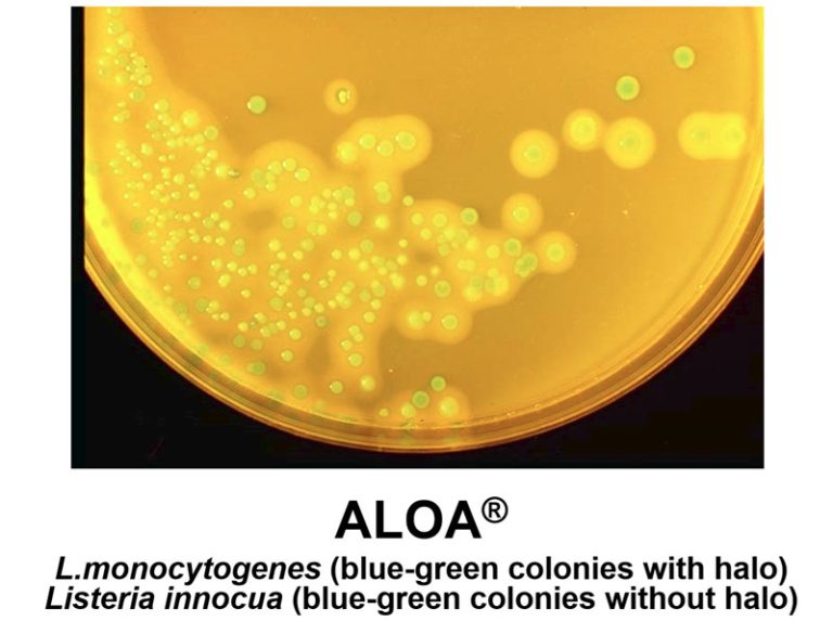 Listeria BioScience Diagnostics Pte Ltd