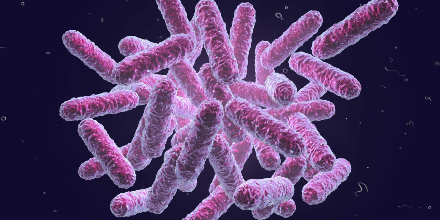 Enterobacteriaceae BioScience Diagnostics Pte Ltd