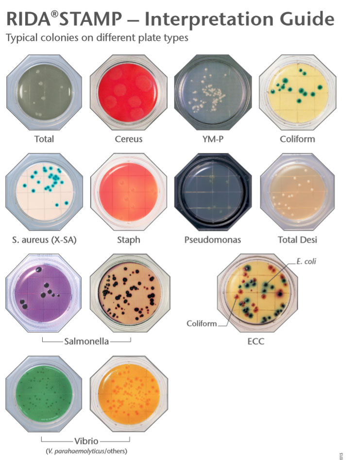 Contact Plates BioScience Diagnostics Pte Ltd