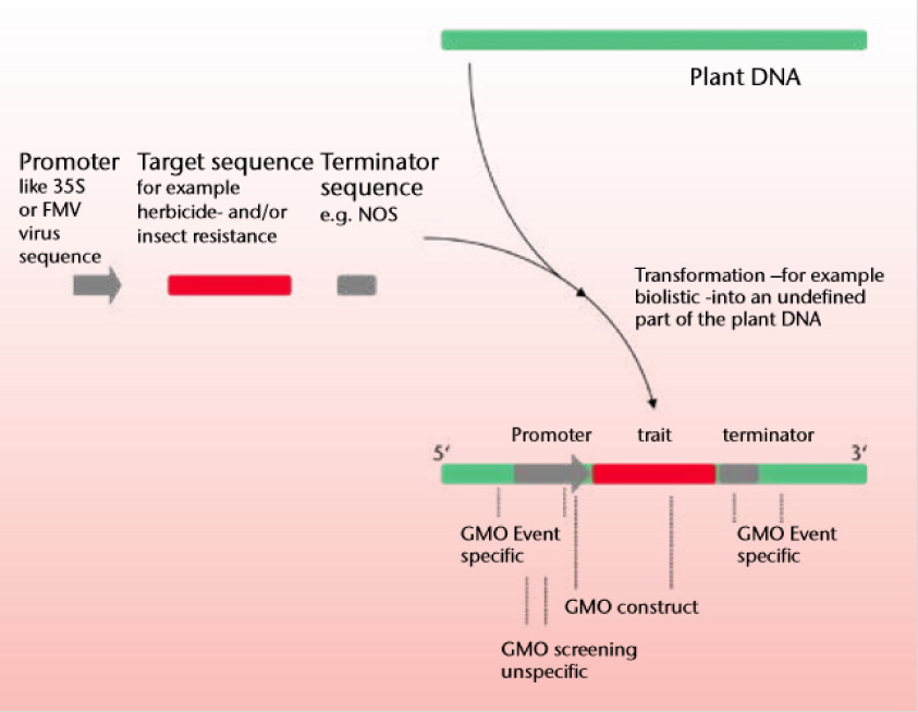 Modified Organisms Testing BioScience Diagnostics Pte Ltd